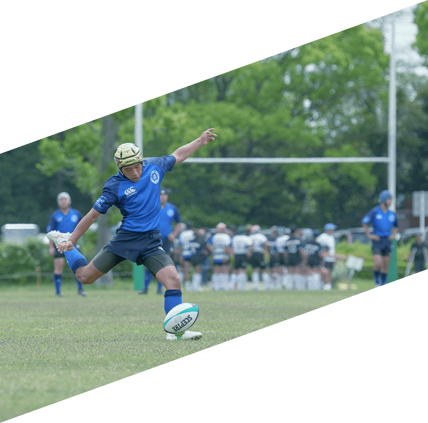 浦和ラグビースクールジュニア プリムローズ