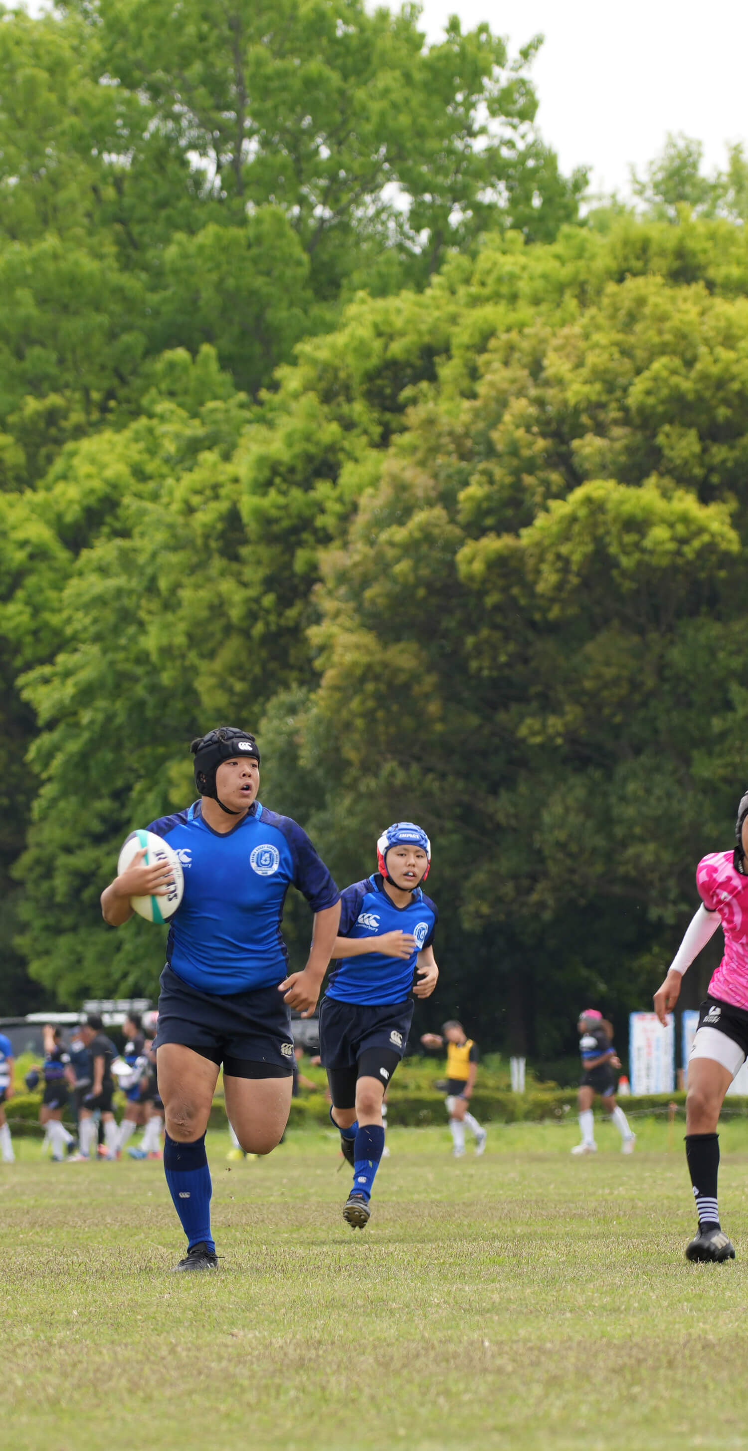 浦和ラグビースクールジュニア プリムローズ